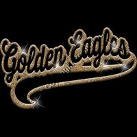 GLT78 GOLD GLITTER Thumbnail